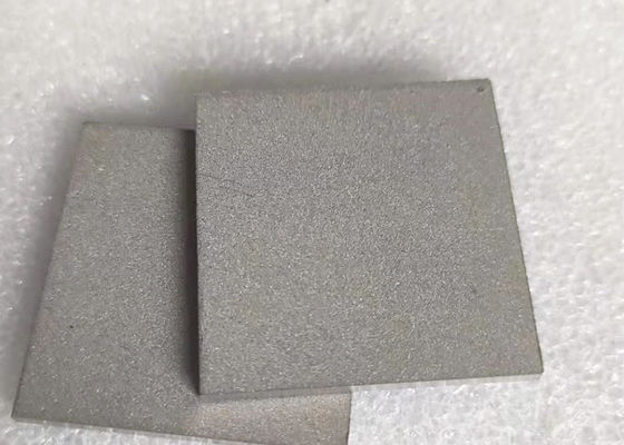 Dia 600mm Porous Filter Titanium Sintered Metal Plate